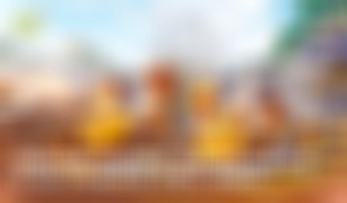 Aniimo Game Interactive World