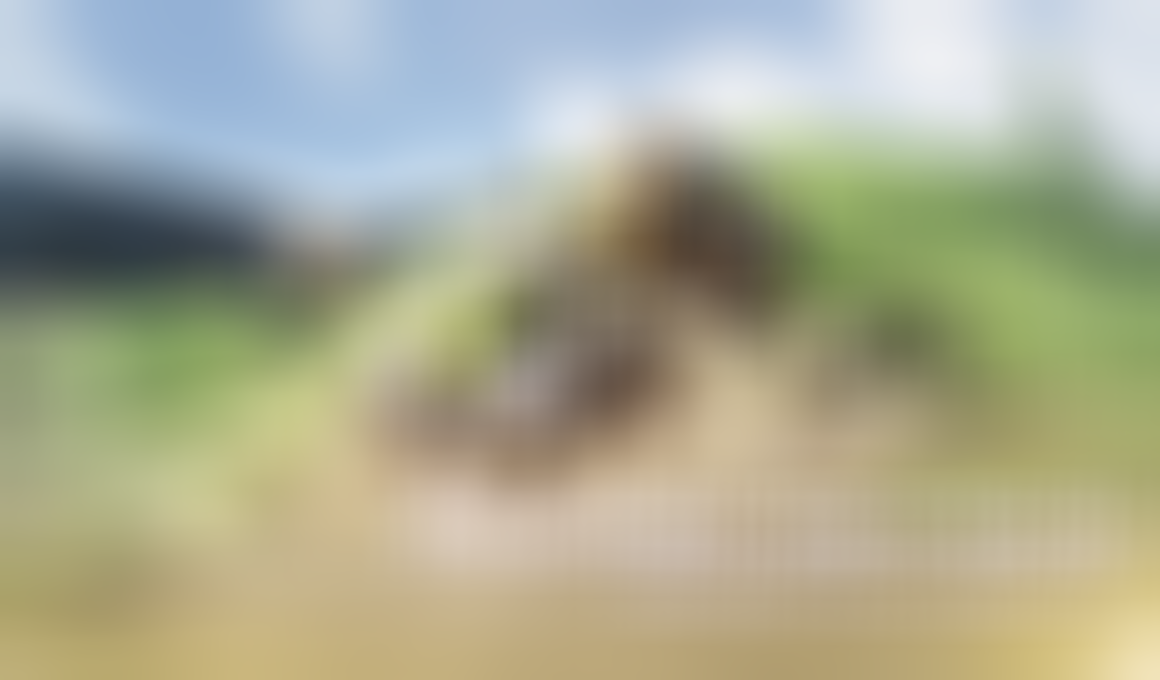 Aniimo Game Interactive World