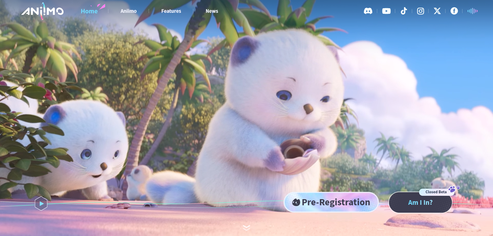 Join Aniimo's Beta: Essential Information & Preparation Guide | aniimo