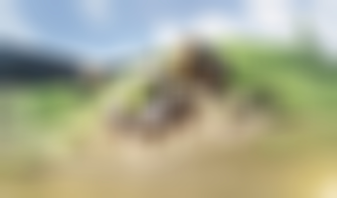 Aniimo Game Interactive World