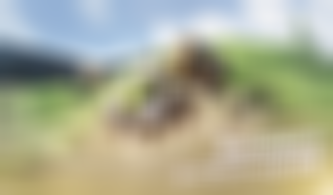 Aniimo Game Interactive World